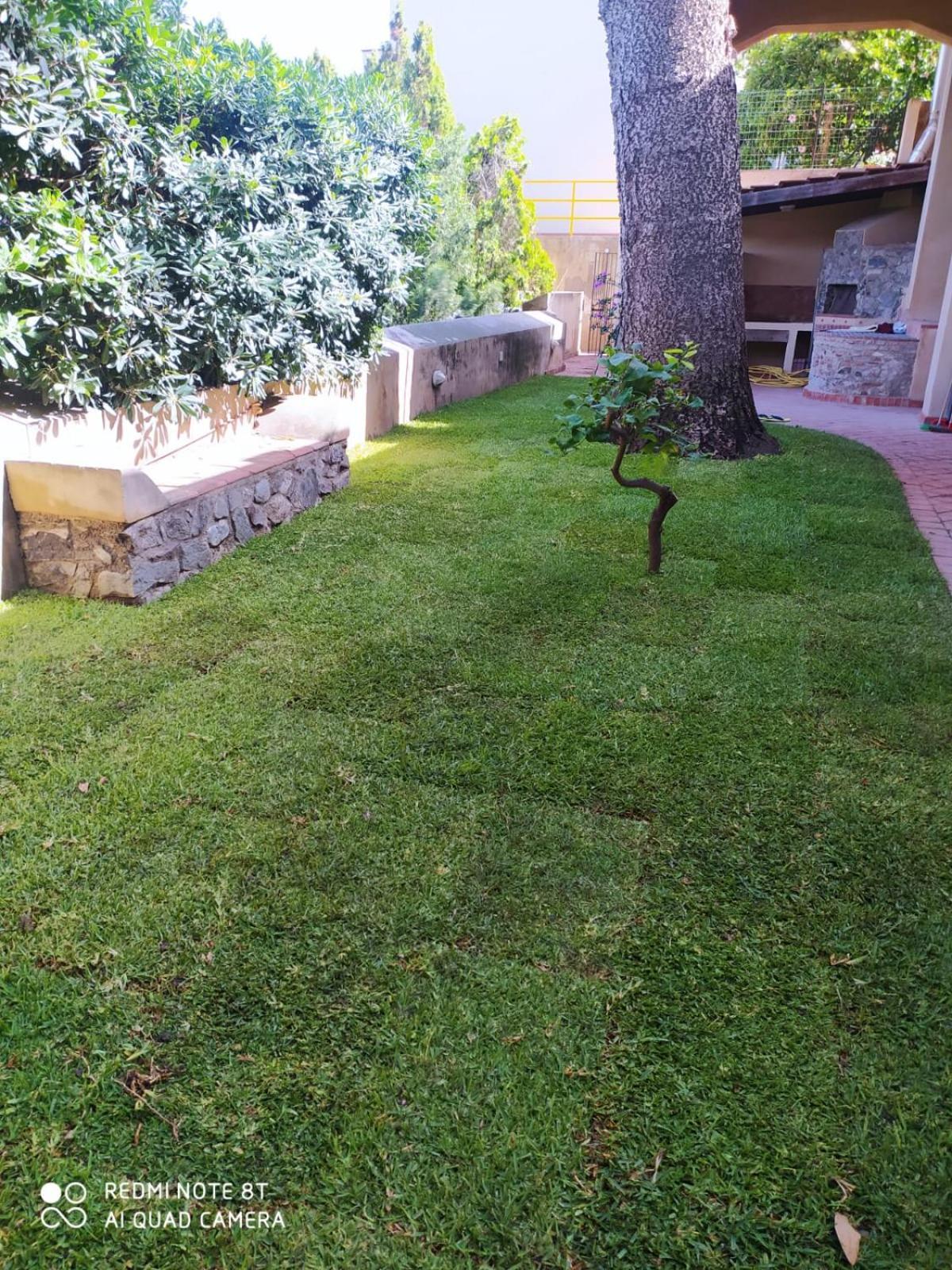 Maison Canopee Messina Exterior photo